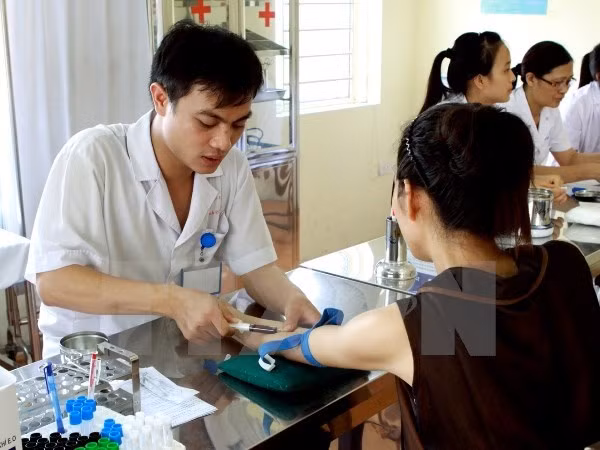 Vietnam envía enfermeras a Alemania ảnh 1