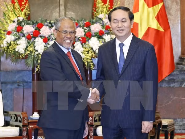 Vietnam con alto interés en cooperar con Singapur en protección del entorno ảnh 1