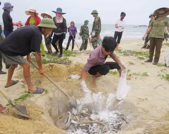 Exigen transparencia de compensación a personas afectadas por incidente ambiental en Vietnam ảnh 1