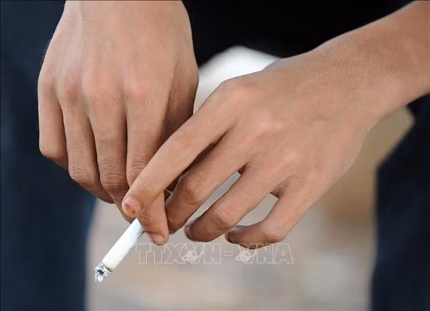 Camboya aplica impuesto al valor agregado (IVA) a cigarrillos ảnh 1 Camboya aplica impuesto al valor agregado (IVA) a cigarrillos ảnh 1