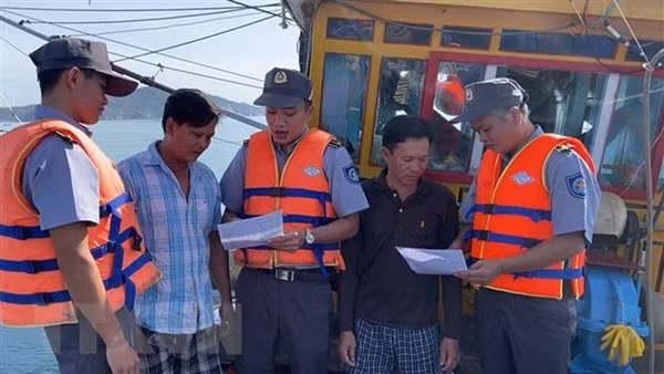 Vietnam se esfuerza por levantar advertencia de "tarjeta amarilla” ảnh 2
