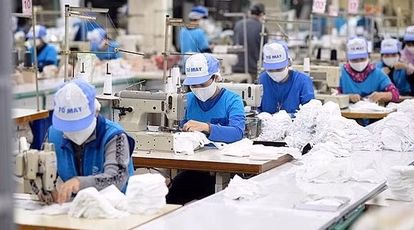 Anuncian evaluación de 500 empresas privadas más grandes de Vietnam ảnh 1