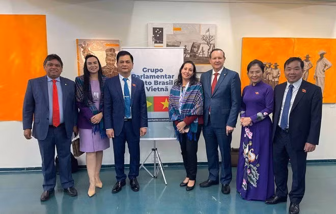 Vietnam y Brasil intensifican lazos en asuntos legislativos ảnh 1