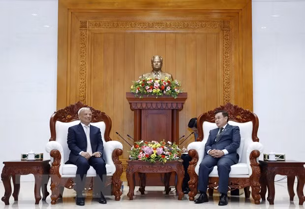 Comité de Paz de Vietnam cumple con éxito agenda de visita en Laos ảnh 1
