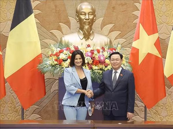 Presidenta del Senado belga concluye con éxito visita a Vietnam ảnh 1