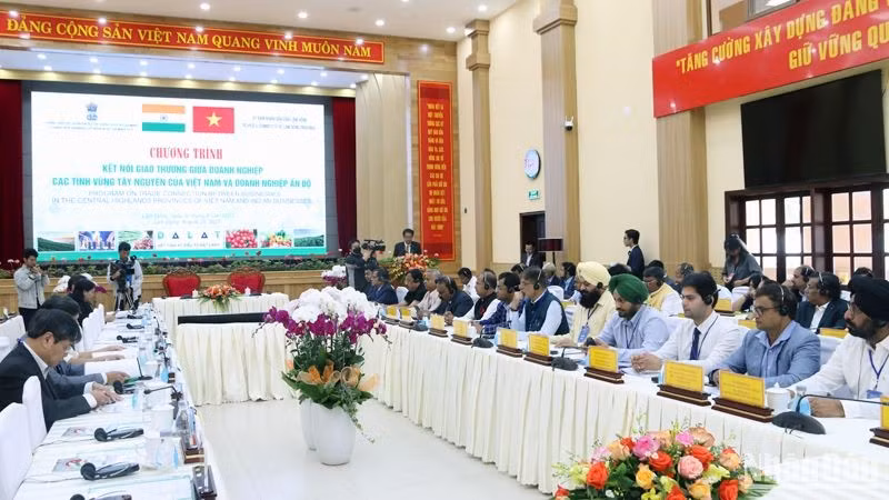 Agilizan conexión empresarial entre Altiplanicie Occidental de Vietnam y la India ảnh 1