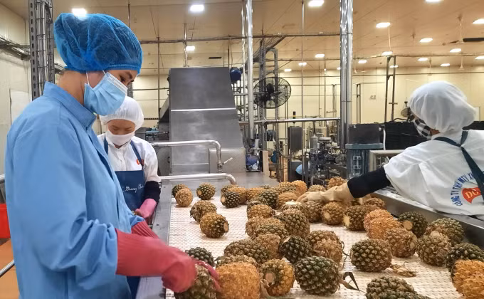 Austria es mercado prometedor para frutas vietnamitas, califican expertos ảnh 1