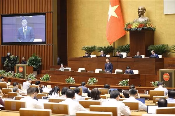 Vietnam se esfuerza por mejorar eficiencia de subastas de propiedades ảnh 1