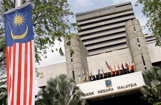Malasia considera a economía digital como una de las bases económicas más importantes ảnh 1
