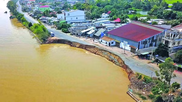 Evalúan erosiones ribereñas y costeras en provincias del delta del Mekong ảnh 1