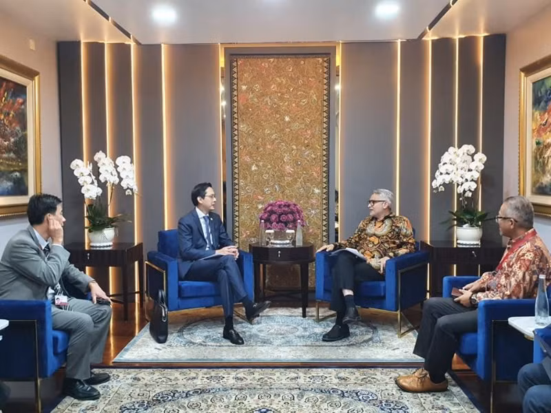 Ministerios de Relaciones Exteriores de Vietnam e Indonesia forjan cooperación ảnh 1