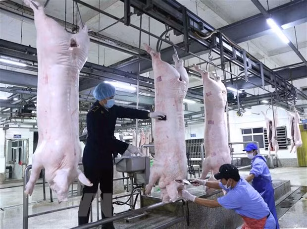 Aumenta Vietnam importación de carne de cerdo en primer trimestre de 2020 ảnh 1