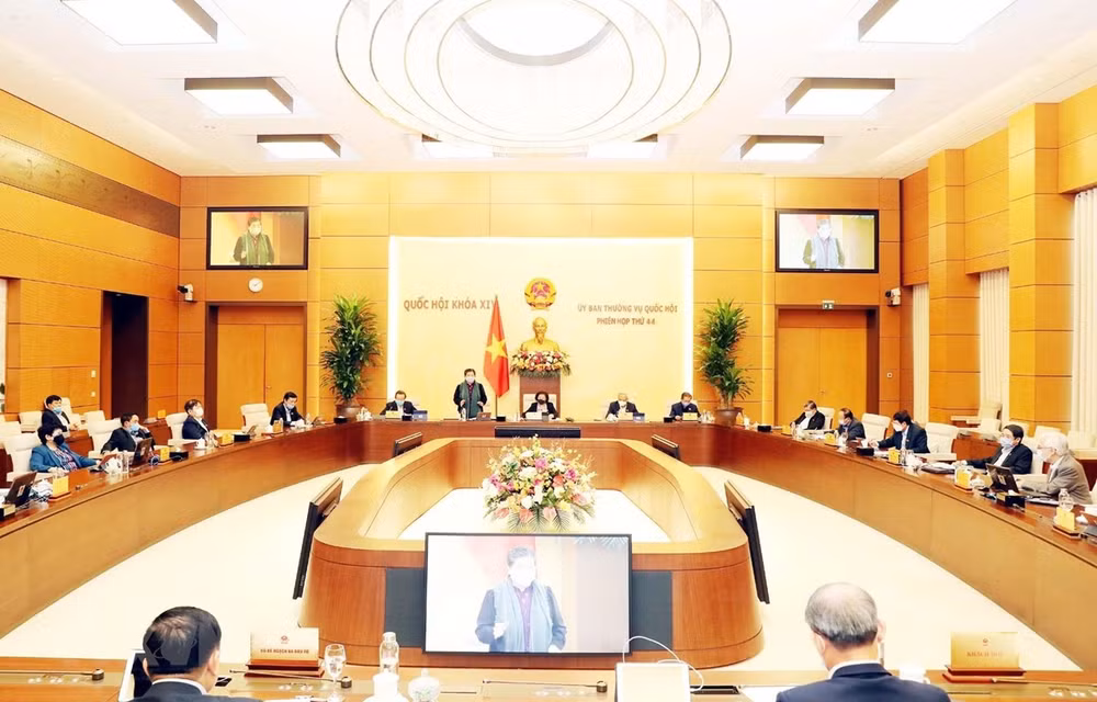 Comité Permanente del Parlamento vietnamita indaga cambios en aparato administrativo de Da Nang ảnh 1