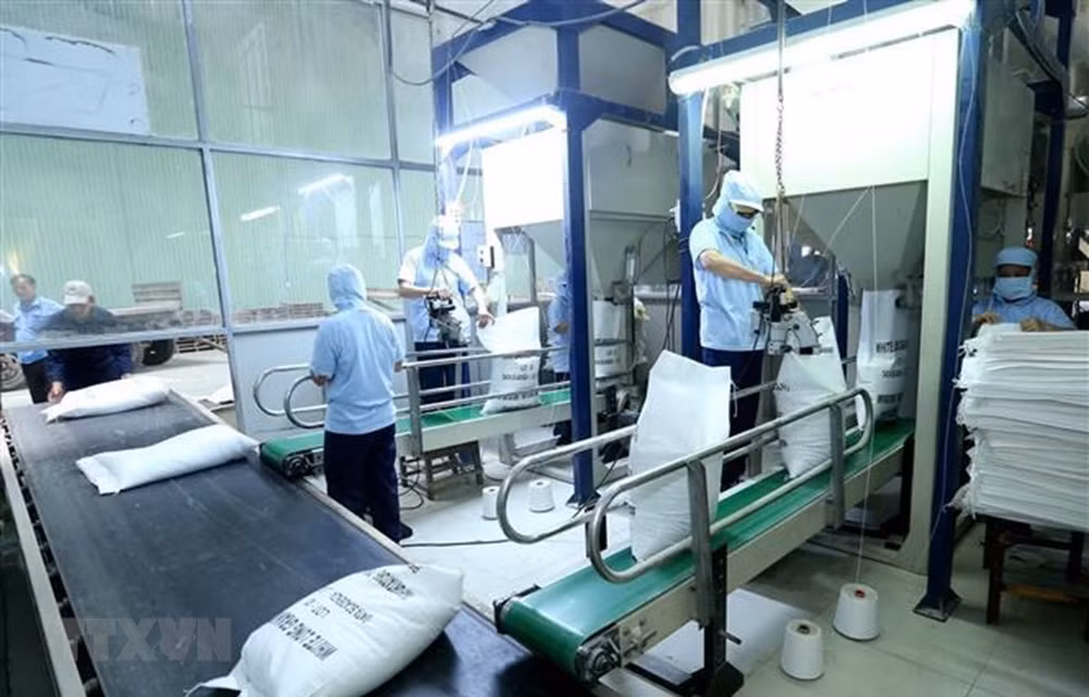 Facilita Vietnam tramitación aduanera para el arroz exportable ảnh 1