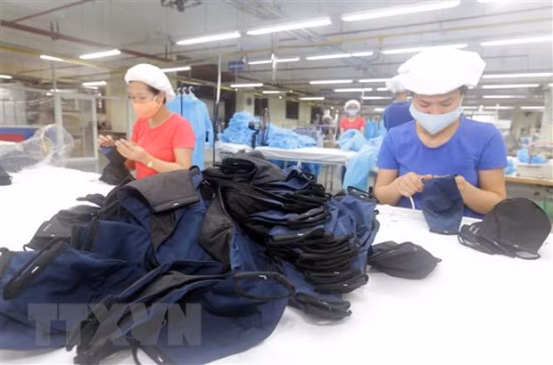 Vietnam exporta casi 416 millones de mascarillas para ayudar a otros países a combatir COVID-19 ảnh 1