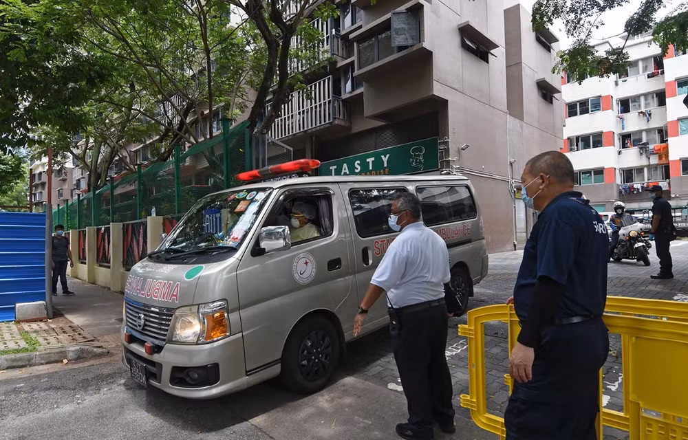 Confirman dos vietnamitas en Singapur infectados con el COVID-19 ảnh 1