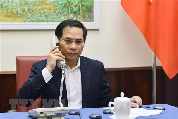 Pide Vietnam acceso global a medicamento para prevenir y tratar COVID-19 ảnh 1