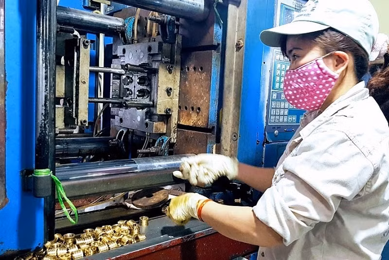 Economía de Vietnam crecerá 5,32 por ciento en 2020, anticipa experto ảnh 1
