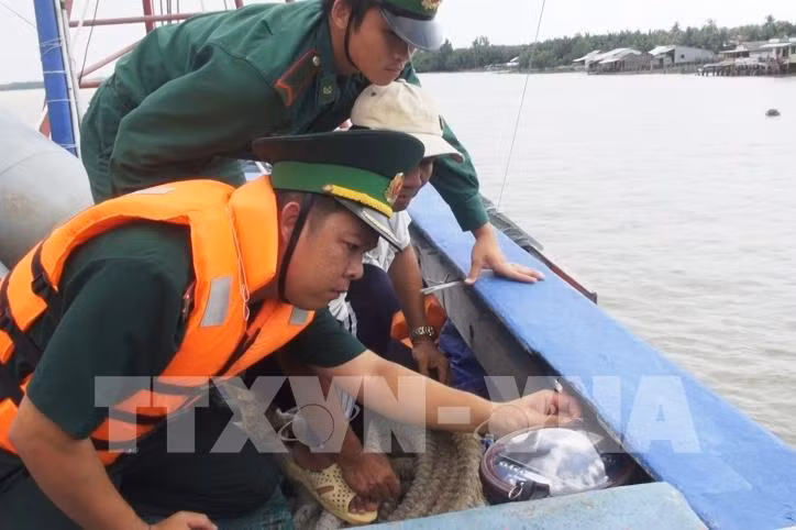 Provincia vietnamita prohíbe faena de barcos pesqueros sin equipo de monitoreo ảnh 1
