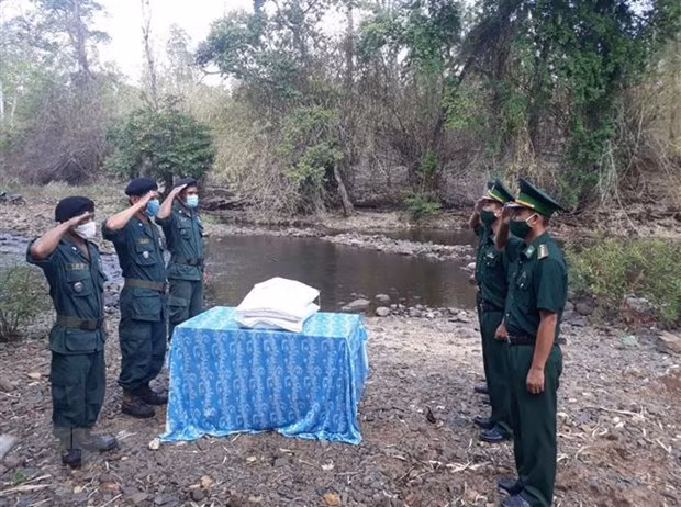 Asistencia arrocera en zonas limítrofes estrecha relaciones Vietnam-Camboya ảnh 1