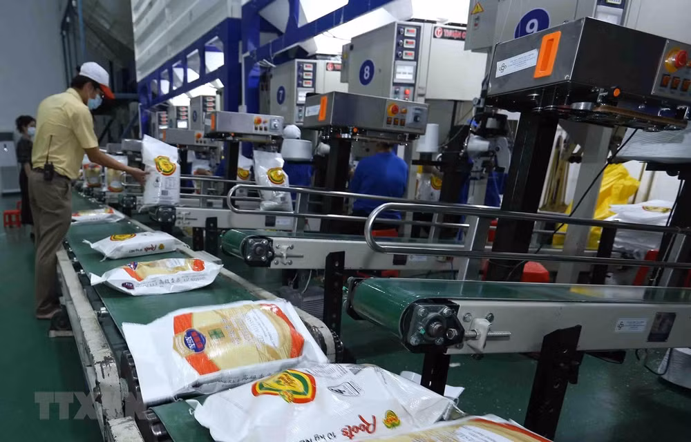Despacha Vietnam 56 mil toneladas de arroz frente a cuota de 400 mil en abril ảnh 1