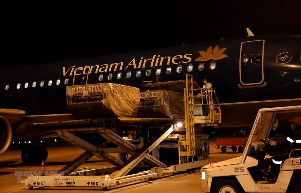 Gobierno de Vietnam emite decreto sobre recepción y uso de asistencia de emergencia internacional ảnh 1