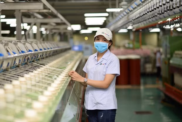 Empresas exportadoras de Vietnam gozan de ventajas brindadas por los TLC ảnh 1