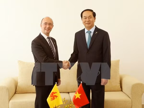 Presidente de Vietnam continúa actividades en la Cumbre de la Francofonía ảnh 1