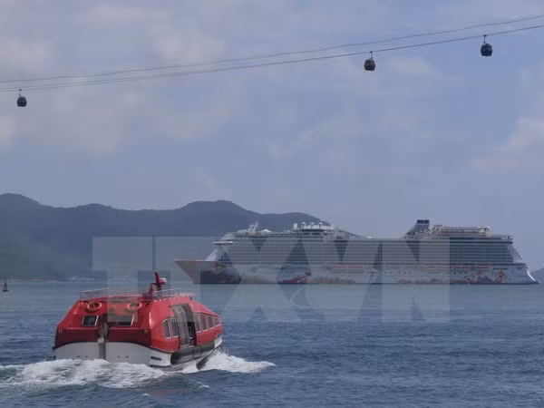 Da Nang se empeña en convertirse en mayor centro de pesca de Vietnam ảnh 1