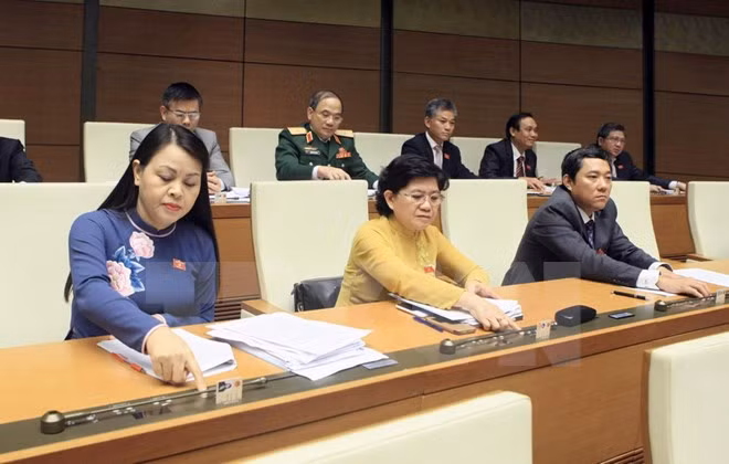 Diputados destacan éxitos del segundo período de sesiones parlamentarias de Vietnam ảnh 1