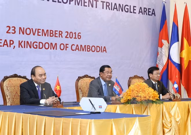 Vietnam contribuye al éxito de la cooperación del CLV ảnh 1