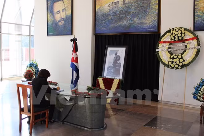 Vietnamitas en México rinden tributo a Fidel Castro ảnh 1