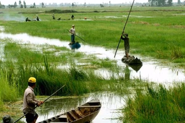 Región del suroeste de Vietnam refuerza cooperación con Australia y Alemania ảnh 1