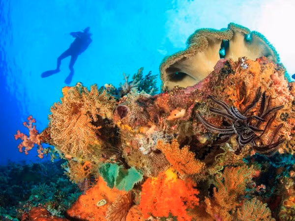 Ciudad Ho Chi Minh acogerá foro del delta del río Mekong sobre cambio climático ảnh 1