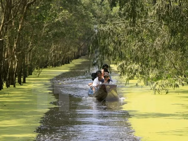 Vietnam trabaja por proteger Parque Nacional de Tram Chim ảnh 1
