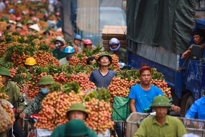 Divulgan compromisos de protección de indicaciones geográficas entre Vietnam y UE ảnh 1