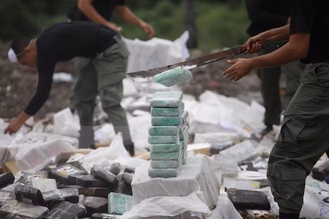 Camboya y Myanmar destruyen gran cantidad de drogas ảnh 1