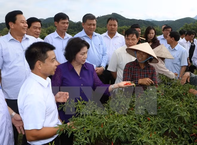 Jefa del Parlamento vietnamita orienta medidas de desarrollo en provincia norteña ảnh 1