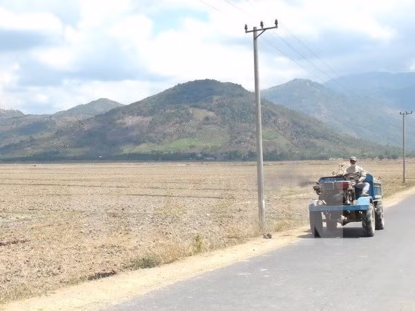 BM apoya a Vietnam en adaptación a cambio climático y crecimiento verde ảnh 1