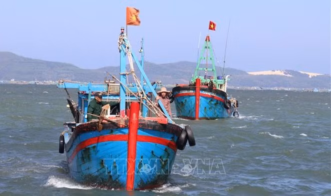 Inspeccionan combate contra IUU y prevención de desastres en Phu Yen ảnh 2