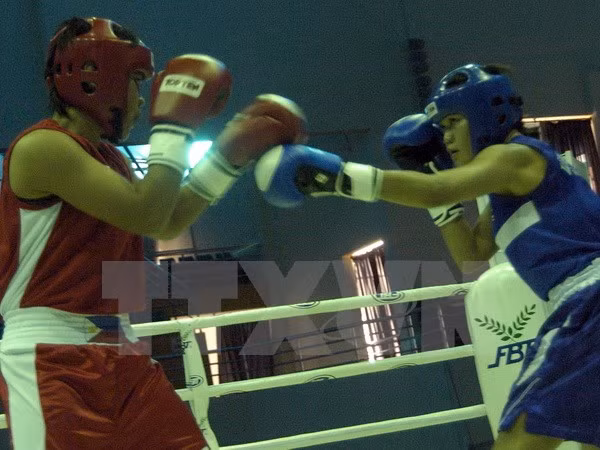 Crean federación de boxeo de Vietnam ảnh 1 Crean federación de boxeo de Vietnam ảnh 1