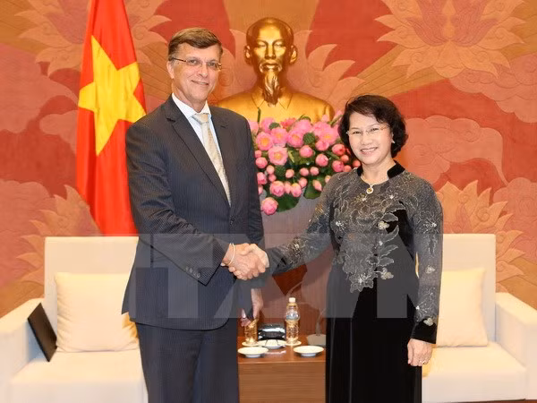 Dirigente vietnamita resalta ayuda oficial para el desarrollo de Australia ảnh 1