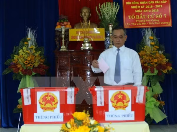 Otras seis provincias vietnamitas publican resultados de elecciones ảnh 1
