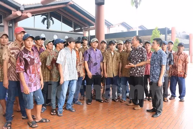 Regresan a casa pescadores vietnamitas retenidos en Indonesia ảnh 1