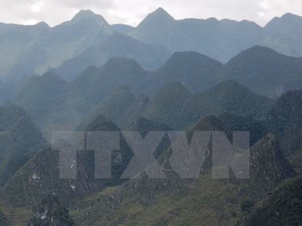 Desarrollan meseta Dong Van como destino turístico a nivel mundial ảnh 1