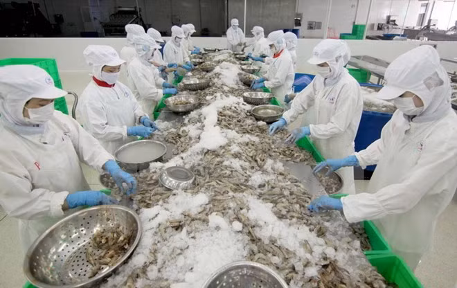 Reducen exportaciones agroforestales de Vietnam ảnh 1 Reducen exportaciones agroforestales de Vietnam ảnh 1