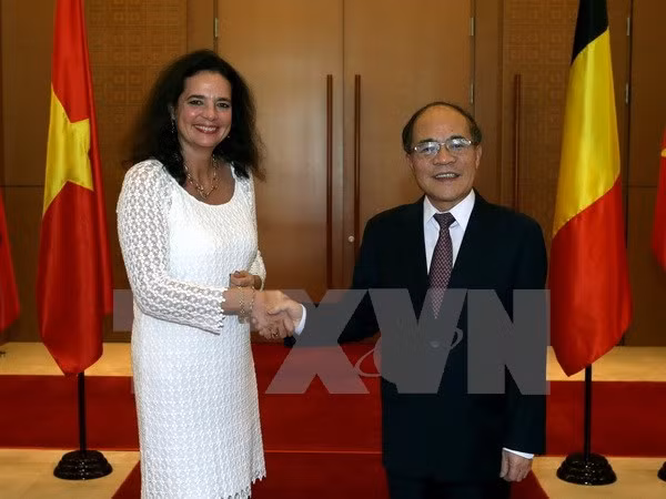 Presidenta del Senado belga culmina fructífera visita a Vietnam ảnh 1