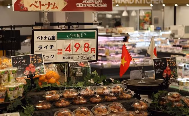 Existe gran espacio para la exportación de productos agrícolas vietnamitas a Japón ảnh 1