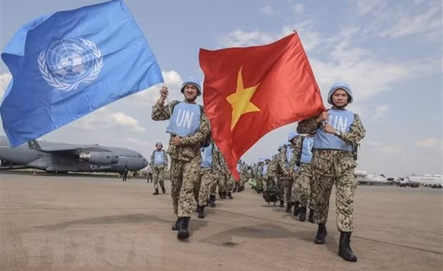 Vietnam aspira a promover cooperación con la ONU en mantenimiento de la paz ảnh 1