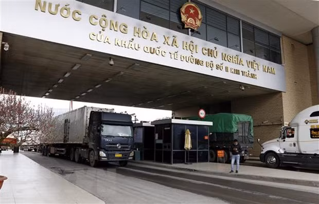 Exporta Vietnam casi 300 toneladas de productos agrícolas a China en tres días del Año Lunar ảnh 1